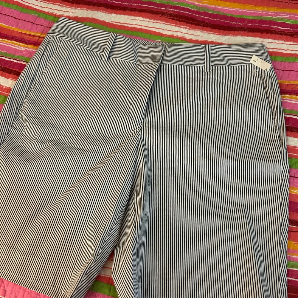 Ann Taylor Factory Striped Shorts